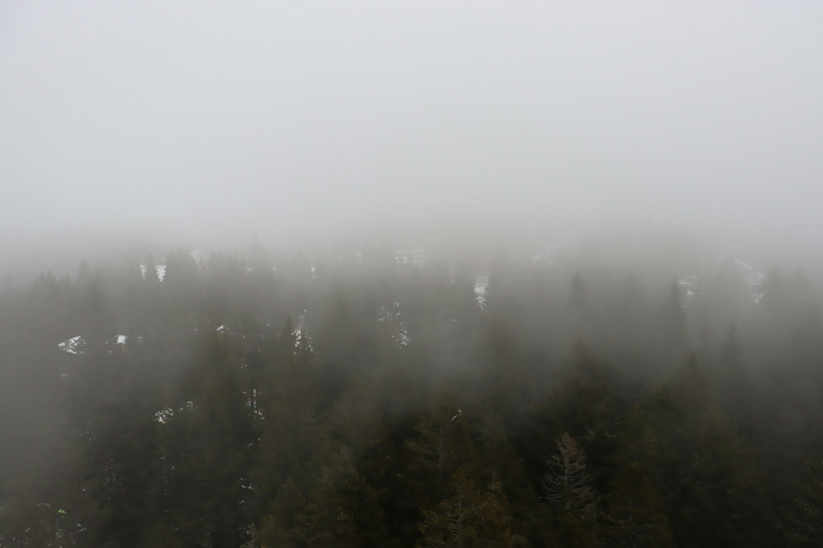 a body of water with ripples